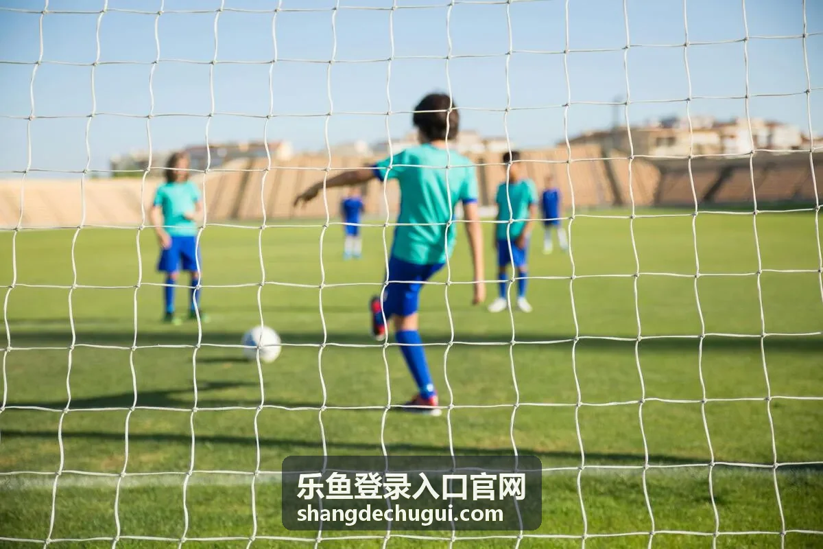 乐鱼登录入口官网平台服务分类概览
