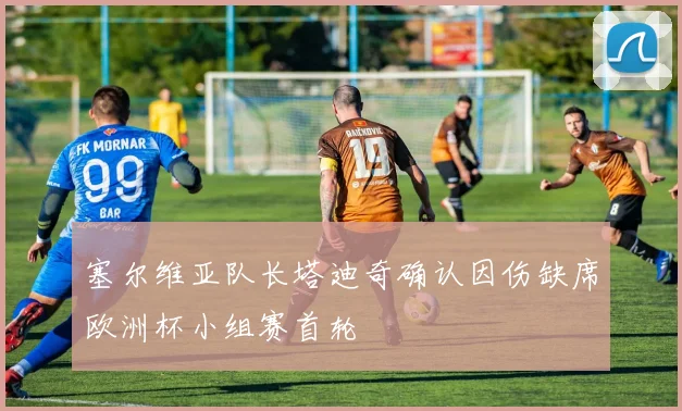 塞尔维亚队长塔迪奇确认因伤缺席欧洲杯小组赛首轮