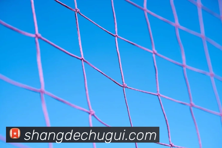 云开体app登录入口APP 封面图